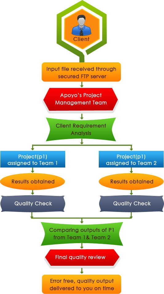 Data entry Services workflow of Apoyo Corp