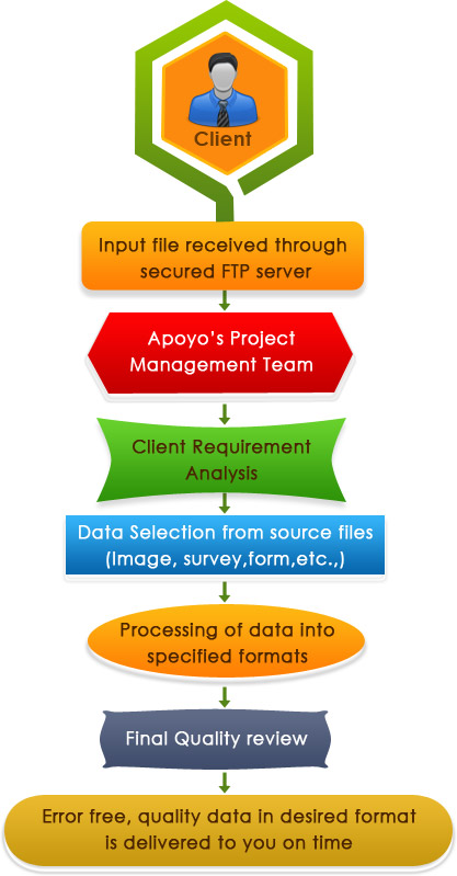 Data Processing Services workflow of Apoyo