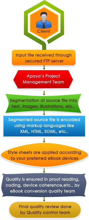 Data Processing Services workflow of Apoyo