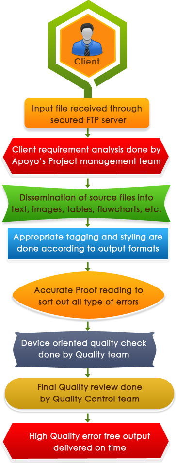 Data entry Services workflow of Apoyo